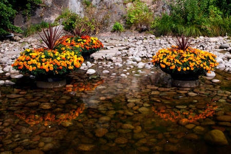 Flower planters by the lakeの写真素材