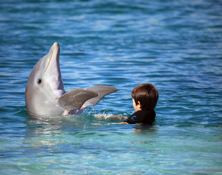 Child playing with a cute dolphin in the blue waterの写真素材