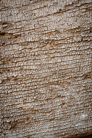 White cracked paint on wood