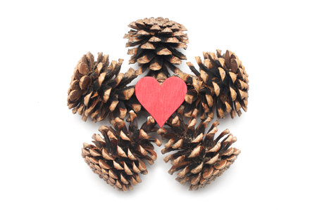 A red wooden heart in the center of a star made up of five pine cones on white background