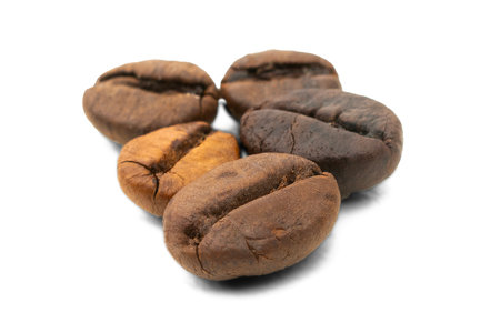 Fresh raw coffee beans isolated, shallow depth of fieldの写真素材