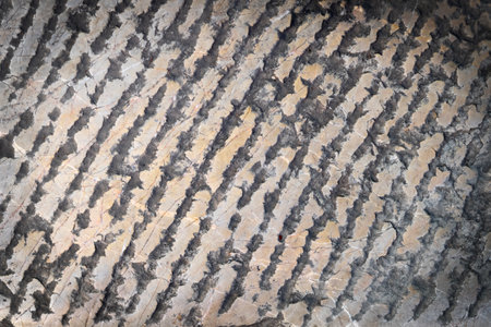 Grunge stone background with diagonal linesの写真素材