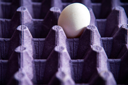 White egg in a cardboard box. Selective focus. Toned.の写真素材