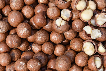 Macadamia nuts background. Close up of macadamia nutsの写真素材