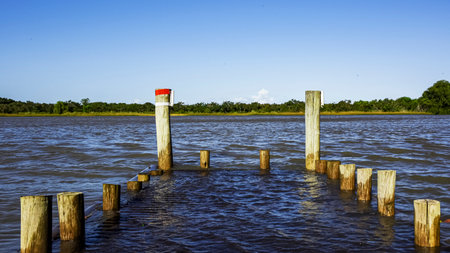 Wooden breakwaters in the river, blue sky and white cloudsの写真素材