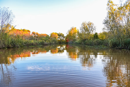Autumn landscape with river and colorful trees in the park at sunsetの写真素材