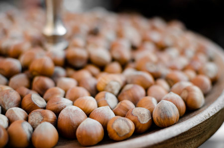 "Nocciola Piemonte Igp", also known as "Tonda Gentile di Langa", hazelnut variety produced in piedmont (italy)の写真素材