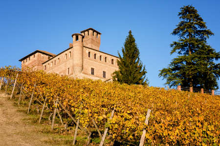 Vineyards and castle of Grinzane Cavour, in the hills of Langhe (Piedmont, Italy). The castle was the home of Camillo Benso, count of Cavourのeditorial素材