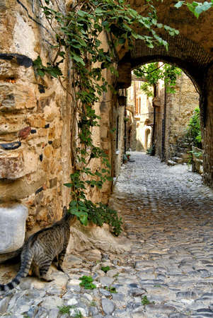 Historic alleys of Bussana Vecchia (Liguria, Italy), abandoned and renovated village of artistsの写真素材