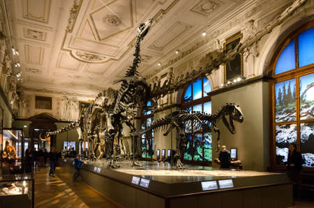 VIENNA, AUSTRIA - MAY 20, 2017: The famous Naturhistorisches Museum (Museum of Natural History) in Vienna, Austria, on may 20, 2017. The dinosaurs hall.のeditorial素材