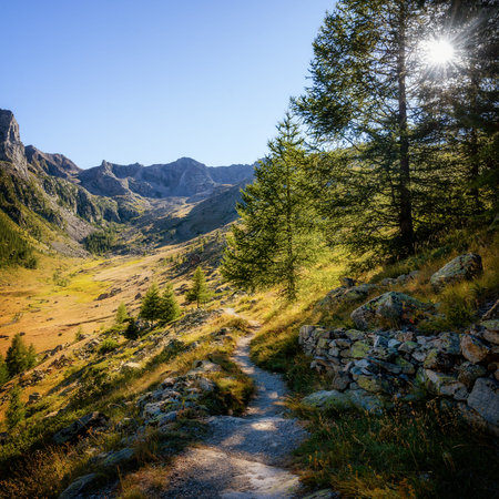 Mountain path in the park of Mercantour (France) to che Col du Fer and Lakes of Vens, at sunset with the sun between the treesの写真素材