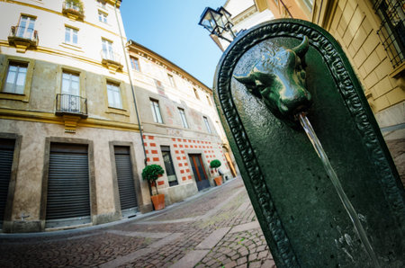 Toret, typical public fountain of Turin (Italy). There are almost 800 "toret" in the city, all made of cast iron and with bull shape in late XIX century.の写真素材