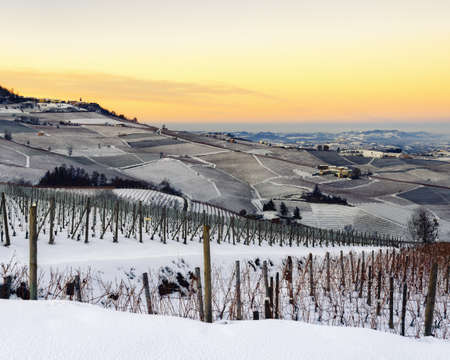 Vineyards of Barolo in the hills of Langhe, (Piedmont, Italy) at sunset. Countryside and rows covered by the snows of decemberの写真素材