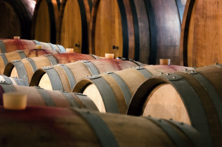 historic wine cellar in Langhe (Piedmont, Italy) with many barriques and slavonian oak barrels for...