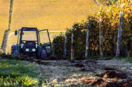 tractor in the vineyards of barolo, main village of the wine district of langhe, piedmont (Italy) in autumb after the grape harvestの写真素材