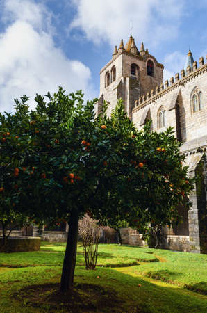 External view of the medieval gothic cloisters of the cathedral of Evora, main city of the Alentejo region (Portugal), with courtyard and an orange treeの写真素材