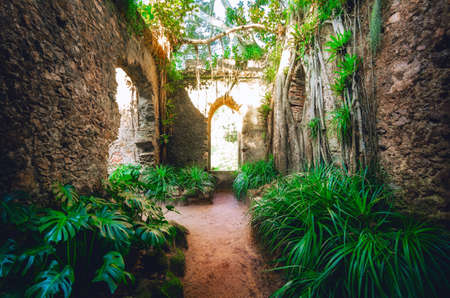Sintra, Portugal - February 5, 2019: Ancient ruined roofless chapel in the botanical park of Monserrate, famous palace in Sintra, Portugal, on february 5, 2019のeditorial素材