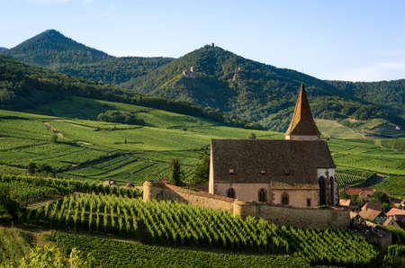 Summer sunset view of the medieval church of Saint-Jacques-le-Major in Hunawihr, small village between the vineyards of Ribeauville, Riquewihr and Colmar in Alsace, wine making region of Franceのeditorial素材