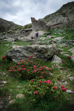 Ruins of the second world war italian military barracks and guardhouse near the pass of San Bernolfo and Colle Lounge, hiking path between the french Alps and Piedmont (Italy)の写真素材