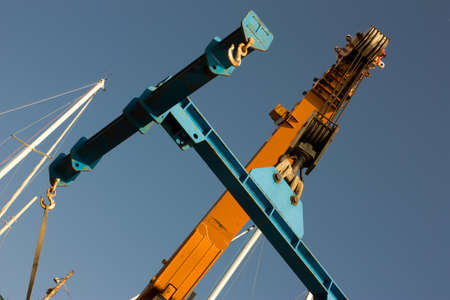 blue cranesの写真素材