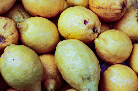 Lemons at the Blanes fruit and vegetable market