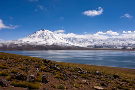 laguna miscanti lake with snow capped volcano, altiplano, atacama, san pedro de atacama, chile