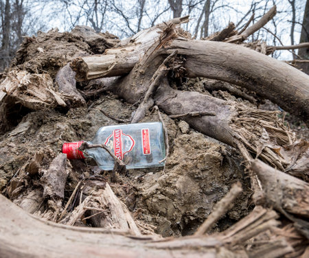 Bucharest/Romania â 02.20.2020: Bottle of Stalinskaya vodka left in the dirt, in a park.のeditorial素材