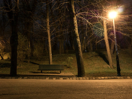 Footpath at night in the park. Alley in the park with light poles and benchesの写真素材