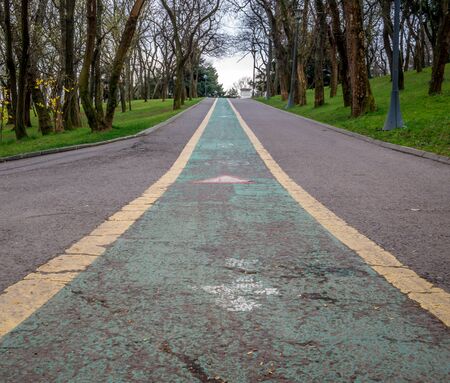 Bicycle lane in a park. Walkway with trees on both sides.の写真素材