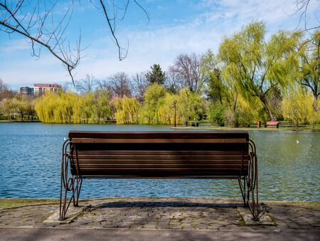 Bench at the edge of a lake in a park. Trees, water and a blue sky.の写真素材