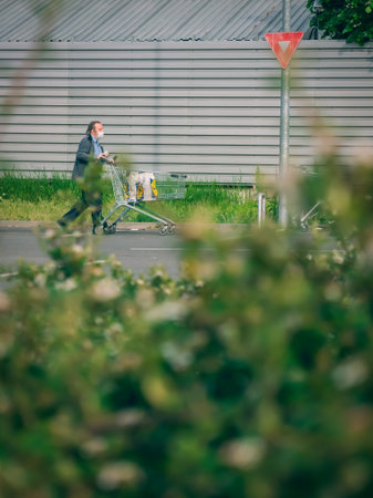 Bucharest/Romania - 05.01.2020: Man wearing a facemask pushing a shopping cart filled with bags.のeditorial素材