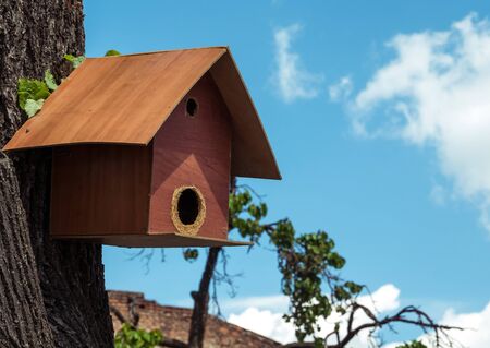 Little bird house or bird feeder hanging from a tree against blue sky.の写真素材