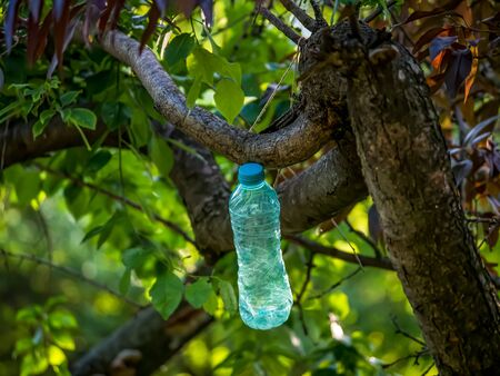 A bottle of still water tied to the branch of a treeの写真素材