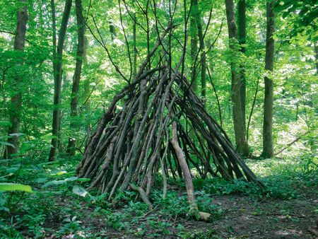 Survival shelter in the woods made from tree branches.の写真素材