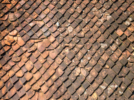 Old medieval roof with red stone tiles, in Brasov Romania.