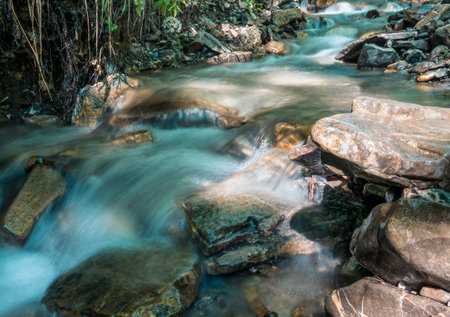 Water stream flowing between rocks into the forest. Water spring in Bucegi National Park.