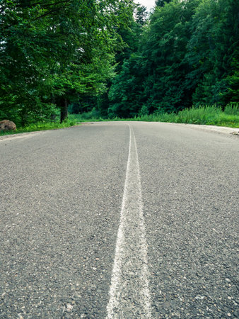 Winding road or street through nature. Valea Cerbului street( Deer's Valley street) in Busteni,...