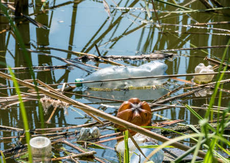 A plastic bottle (PET) floating on a lake in Bucharest, Romaia. Plastic pollution concept.の写真素材