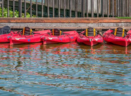 Mogosoaia/Romania - 07.29.2020: Many sit on top kayaks for rent on Mogosoaia Lake.のeditorial素材