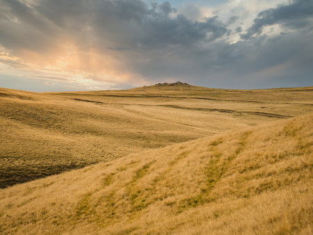 Golden pasture or grassland at sunset or sunrise in the Carpathian Mountains, Romania.の写真素材