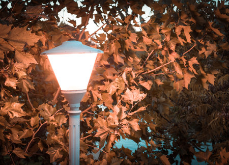 Close up with a street lamp or lamp postの写真素材