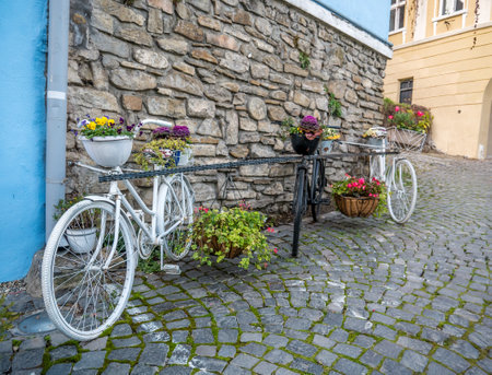 Vintage ornament decorative bicycles in Sighisoara, Romania.の写真素材