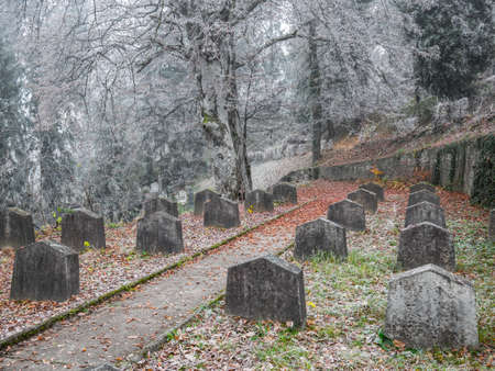 Graves and tombstones in the cemetery located near Church on the Hill in Sighisoara.の写真素材