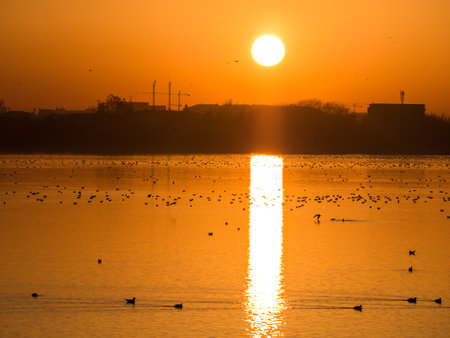 Beautiful sunset over Lake Dambovita (Lacul Morii) in Bucharest, Romania.の写真素材