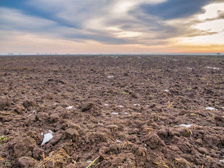Large dug up plowed land or field for sowing grain or planting potatoes. Agriculture field with snow spots at sunset.の写真素材