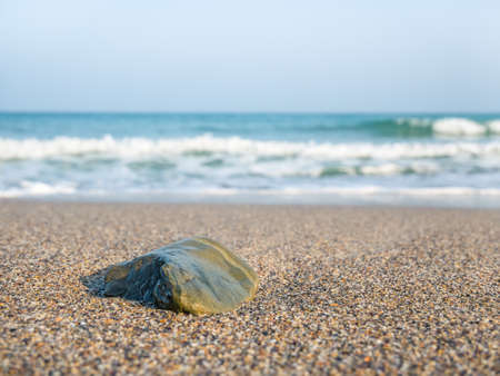 A rock on the beach in the sand with the water of the foamy sea in the background.の写真素材
