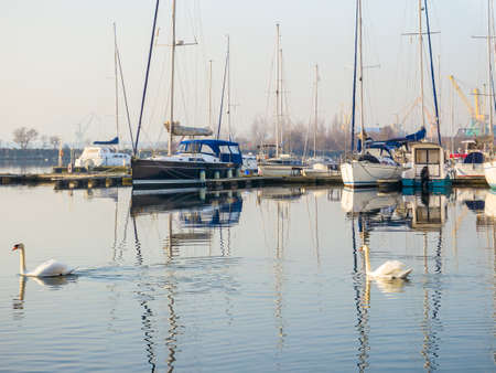 Many boats and yachts anchored at the touristic port or harbor in Mangalia, Constantaの写真素材