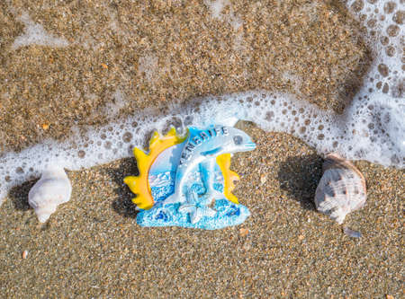 Tenerife souvenir on the sand beach between two seashells.Travel tourism conceptの写真素材