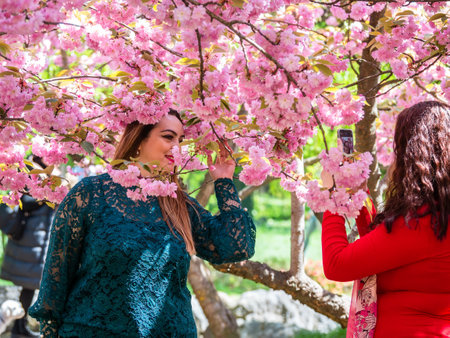 Bucharest, Romania - 04.29.2021: Young girls taking pictures under a cherry blossom tree in King Mihai I park (Herestrau).のeditorial素材