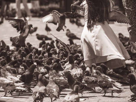 Old vintage monochrome sepia picture with a girl in a dress surrounded by many flying pigeons in Victoriei Square, Timisoaraの写真素材